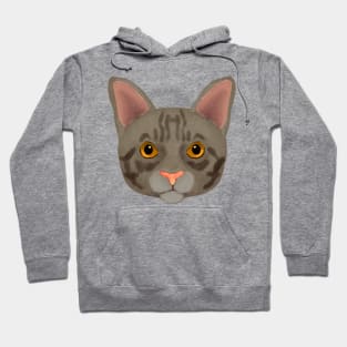 Grey Tabby cat Hoodie